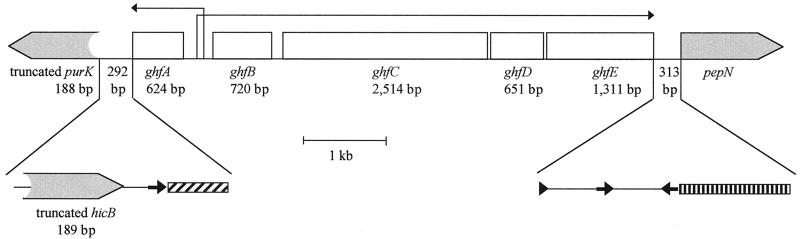 FIG. 7.