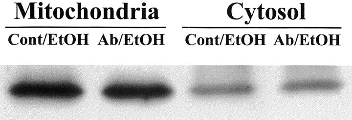 Figure 10.