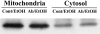 Figure 10.