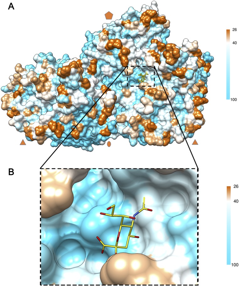 Fig. S6.