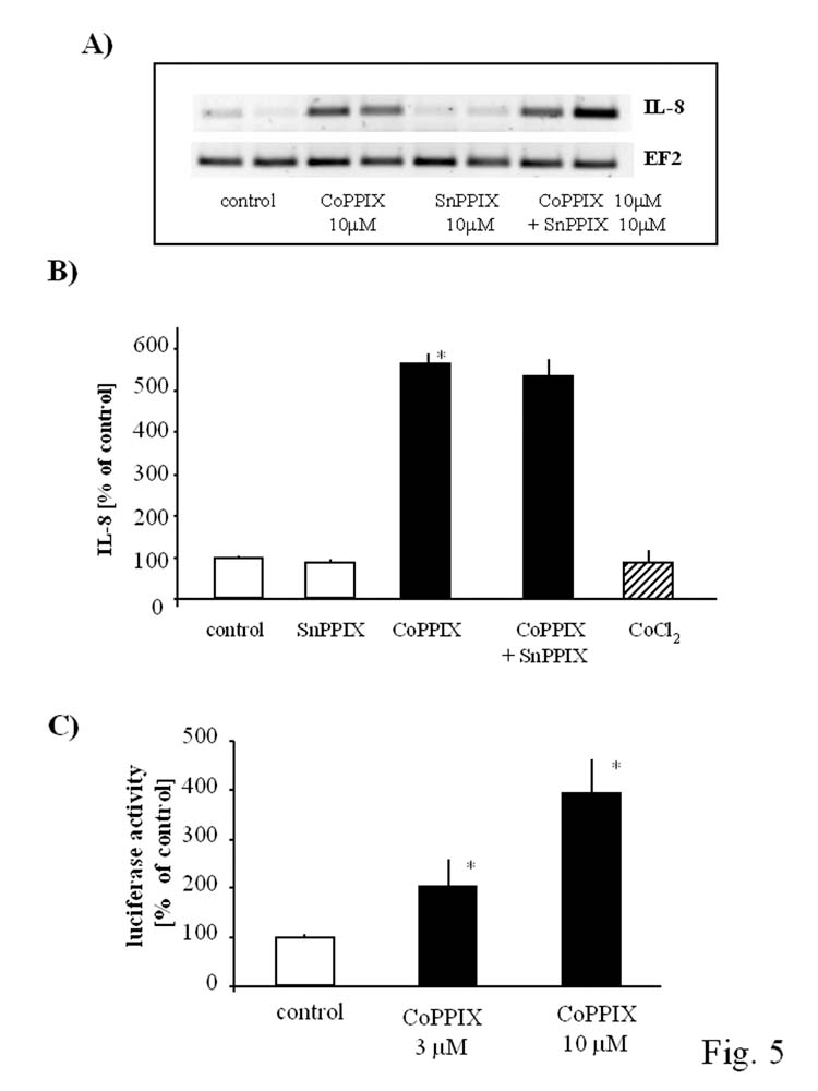 Fig. 5