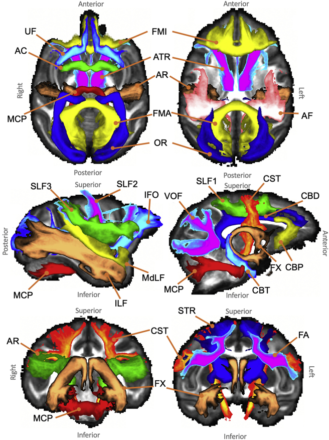 Fig. 6