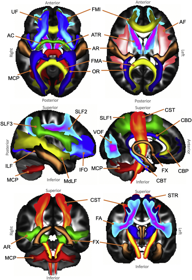 Fig. 3