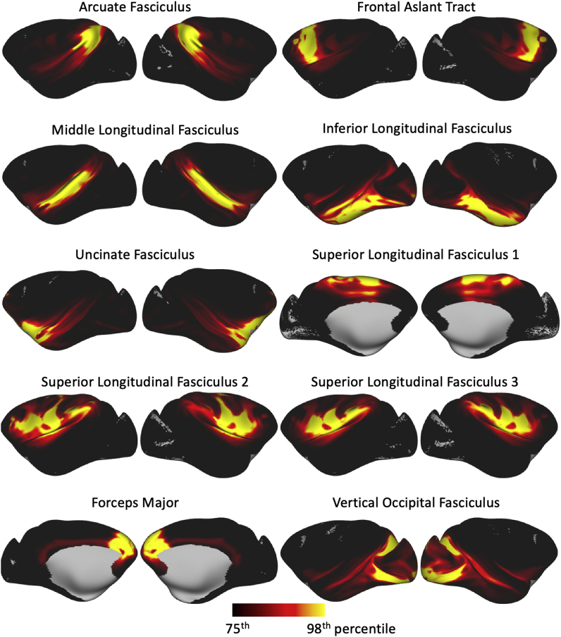 Fig. 7