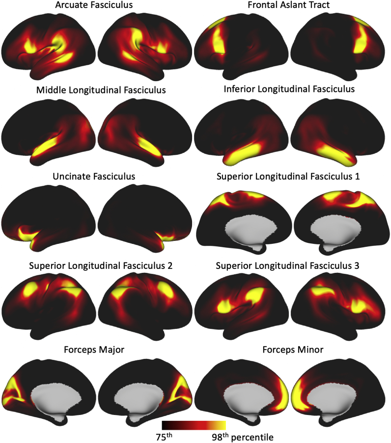 Fig. 4