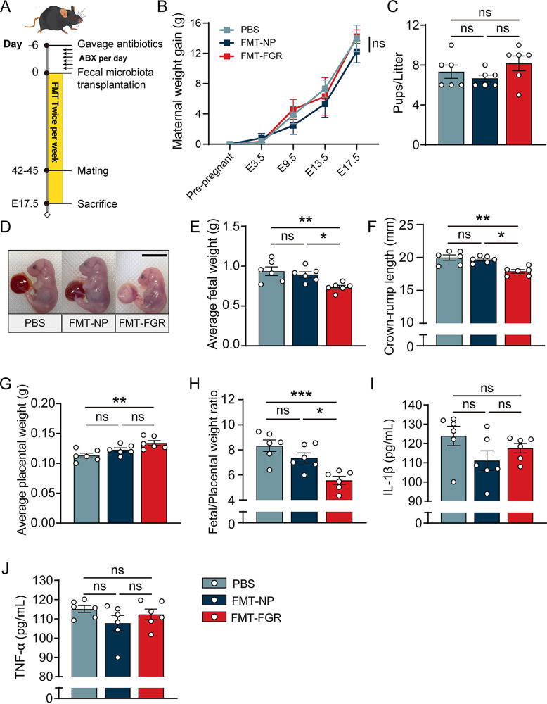 FIG 6