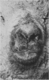90