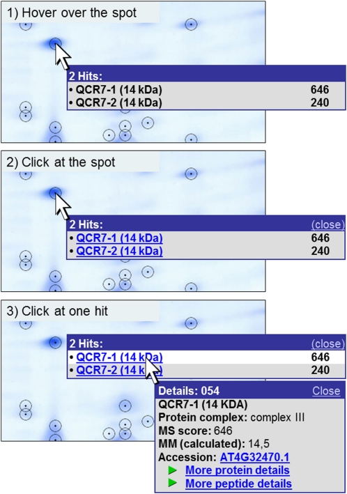 Figure 4.