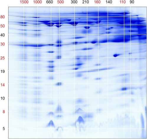 Figure 2.