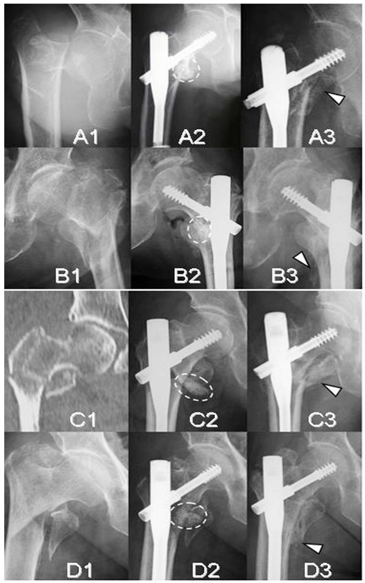 Fig. (5)