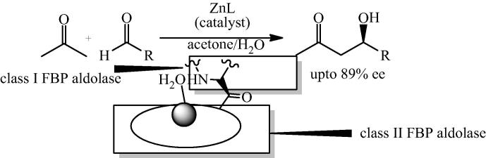 Fig. 11