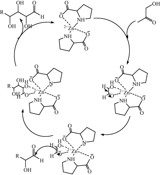 Fig. 8