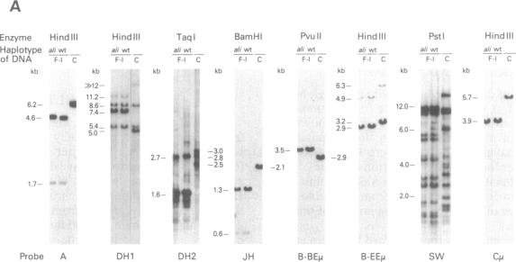 graphic file with name pnas01039-0222-a.jpg