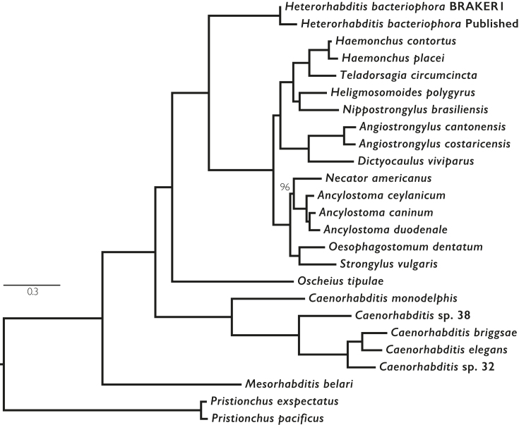 Figure 3: