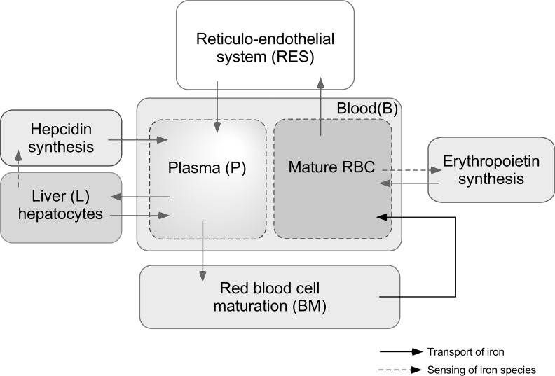 Fig 1