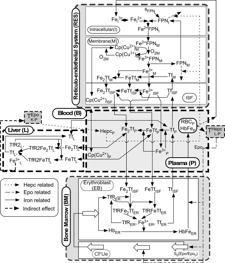 Fig 2