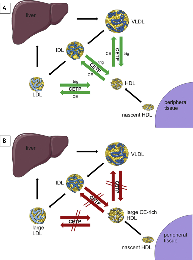 Figure 1