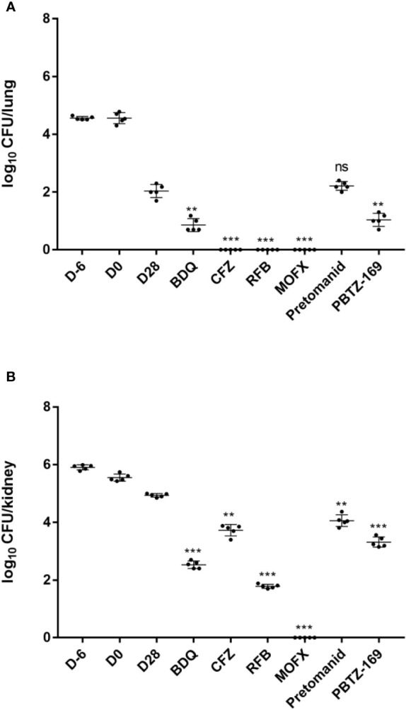 Figure 5