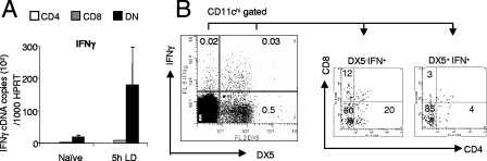 FIG. 8.