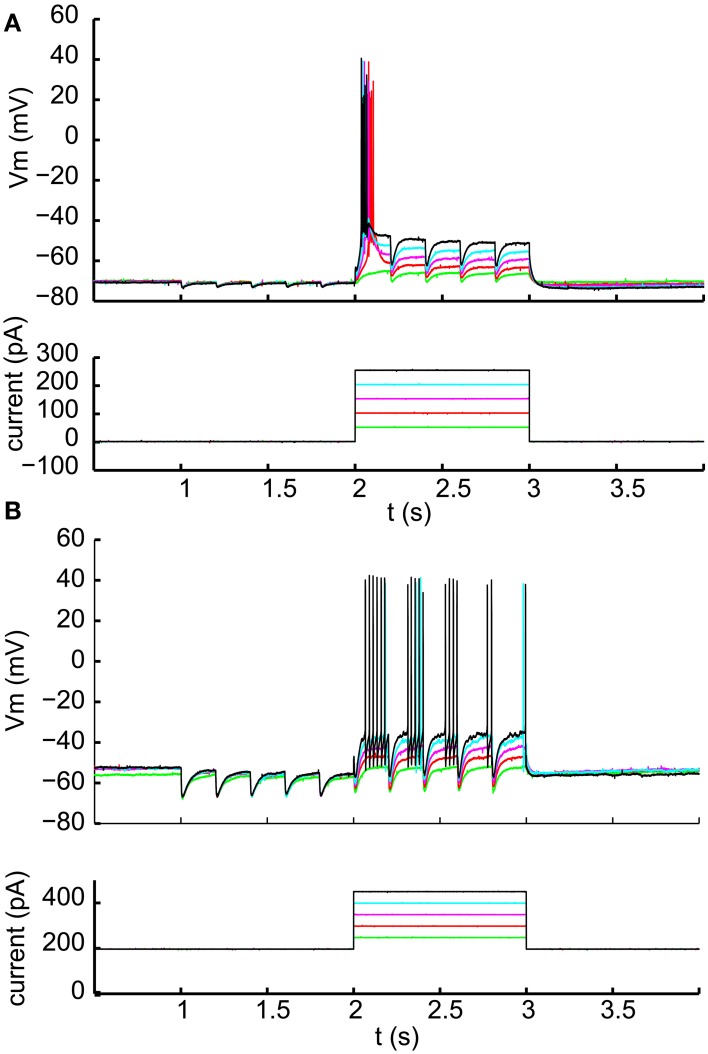 Figure 4