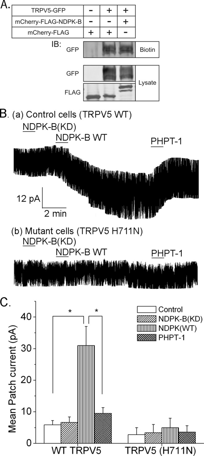 FIGURE 3: