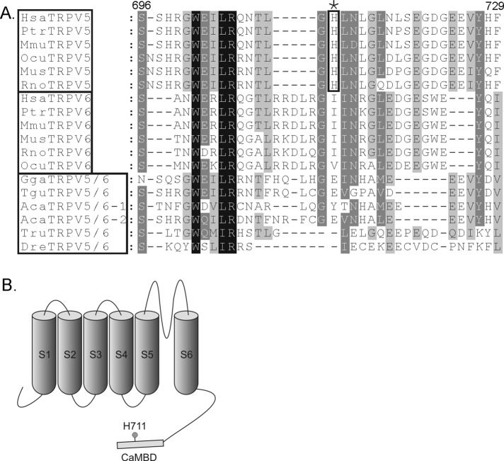 FIGURE 1: