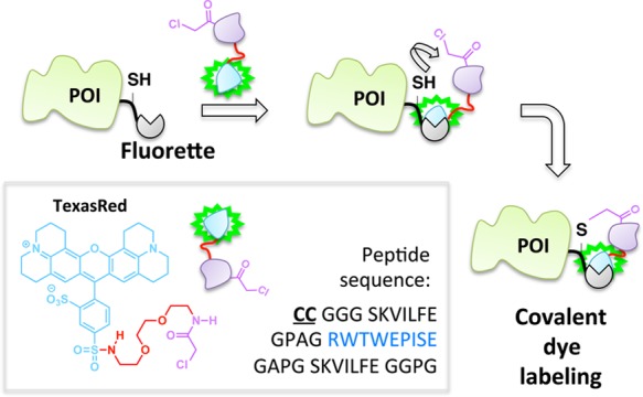 Figure 10