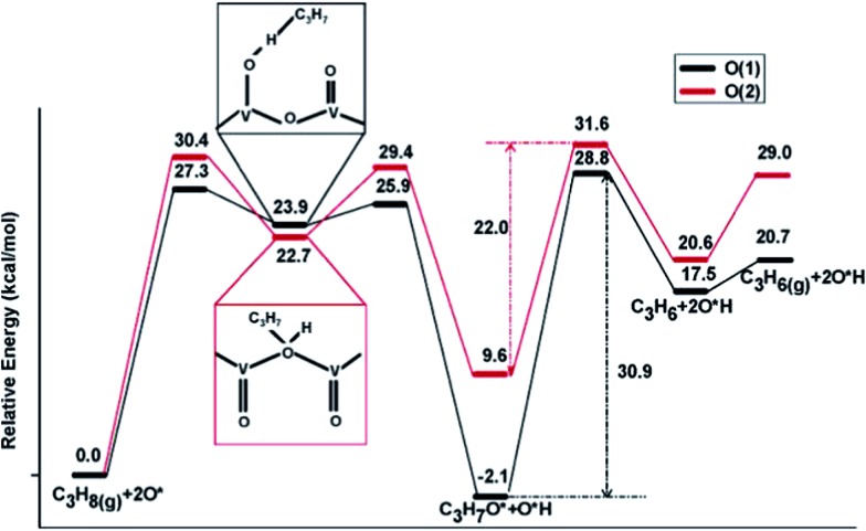 Fig. 14