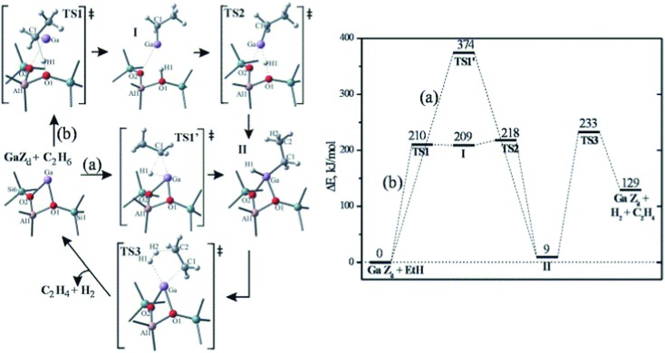 Fig. 16