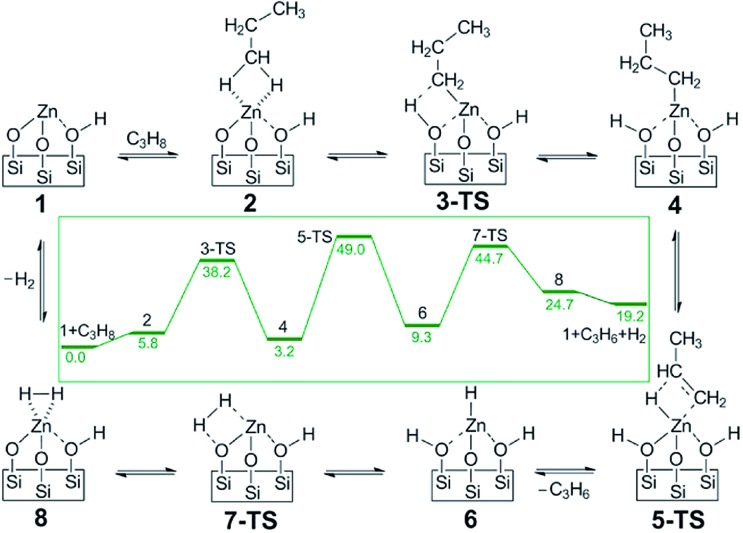 Fig. 19