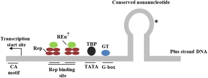 Fig. 2