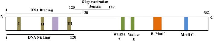 Fig. 1