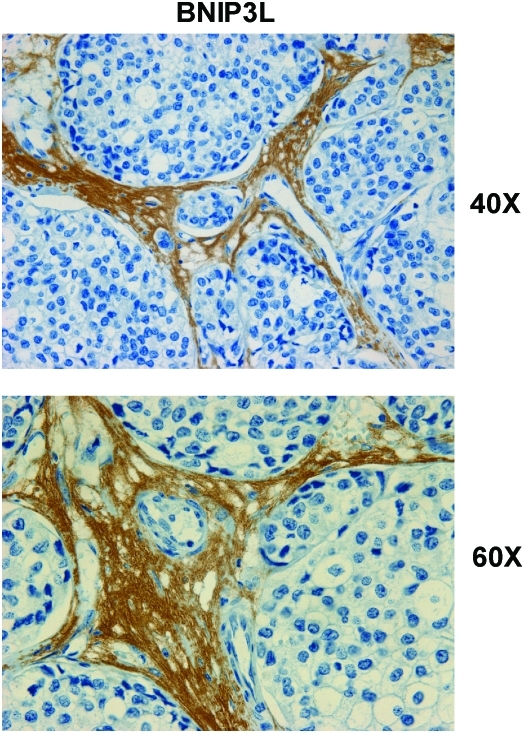 FIG. 8.