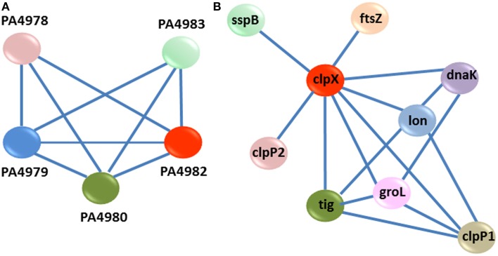 Figure 5