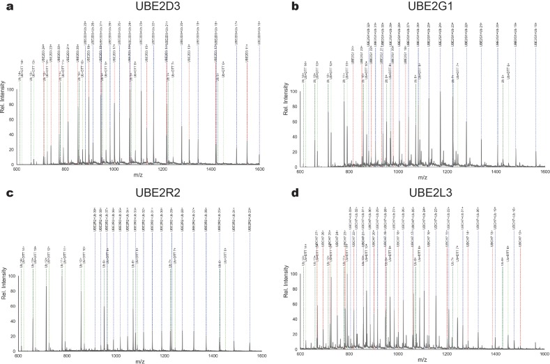 Appendix 2—figure 3.