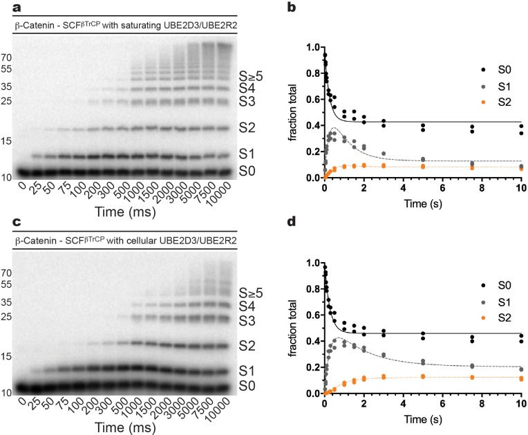 Figure 2—figure supplement 9.