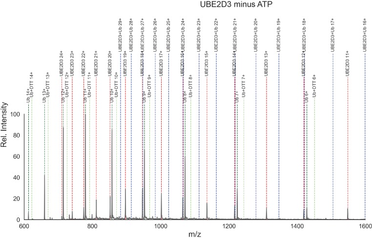 Appendix 2—figure 2.