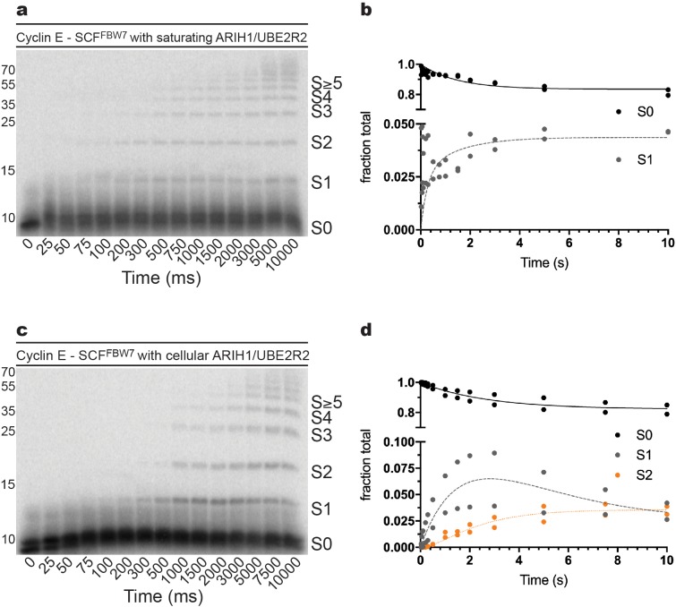 Figure 2—figure supplement 6.