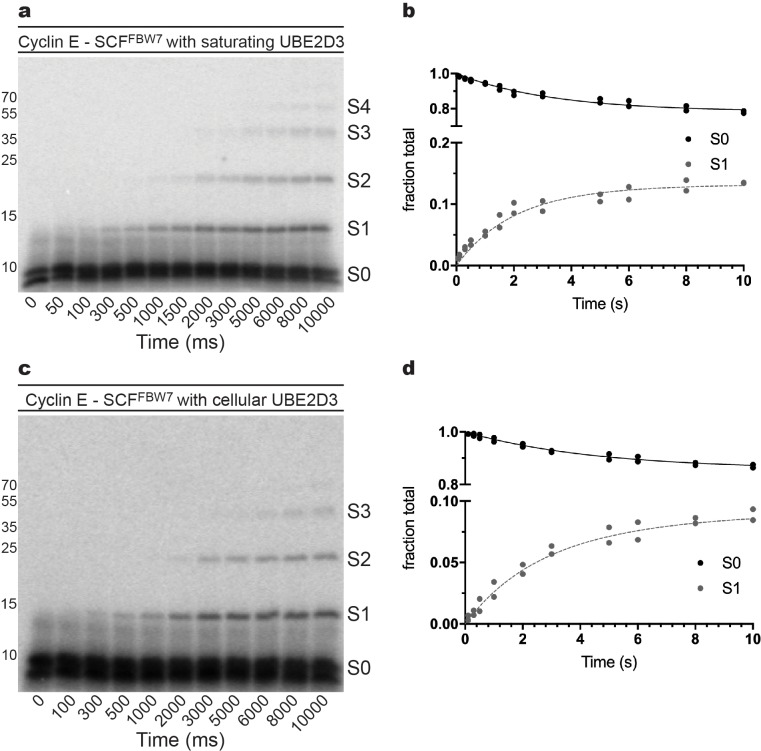 Figure 2—figure supplement 2.