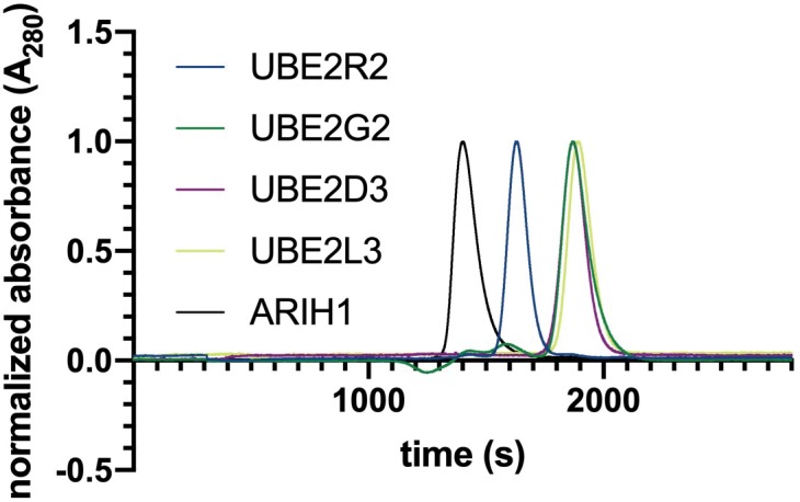 Appendix 2—figure 1.