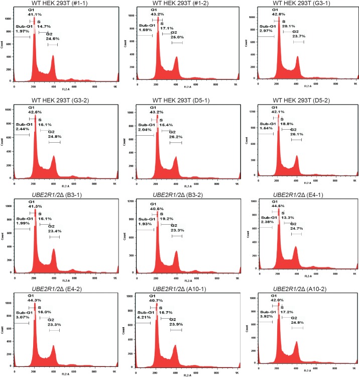 Figure 5—figure supplement 4.