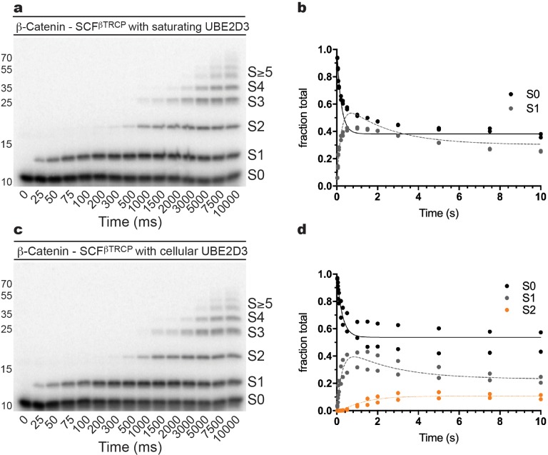 Figure 2—figure supplement 3.