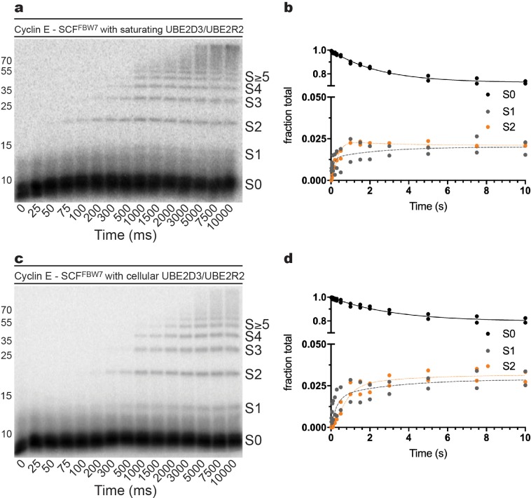 Figure 2—figure supplement 8.