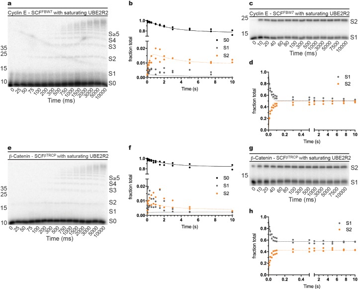 Figure 2—figure supplement 4.