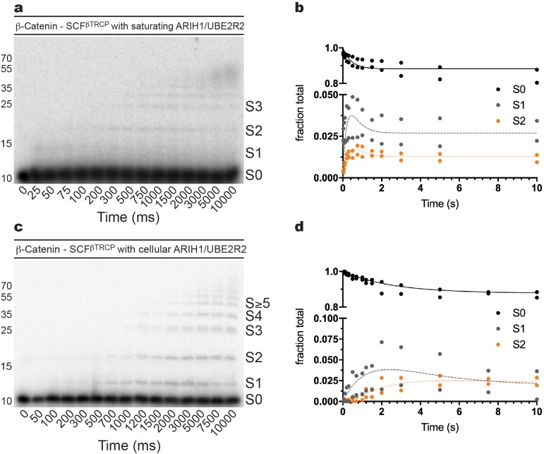 Figure 2—figure supplement 7.