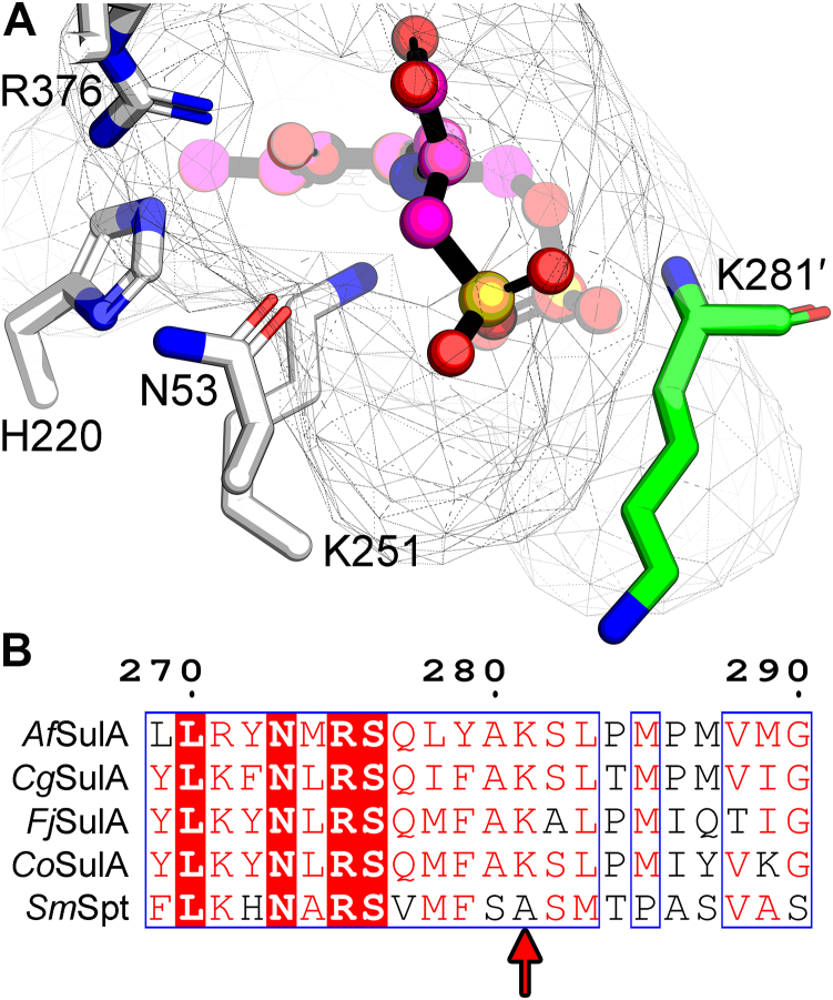 Figure 7