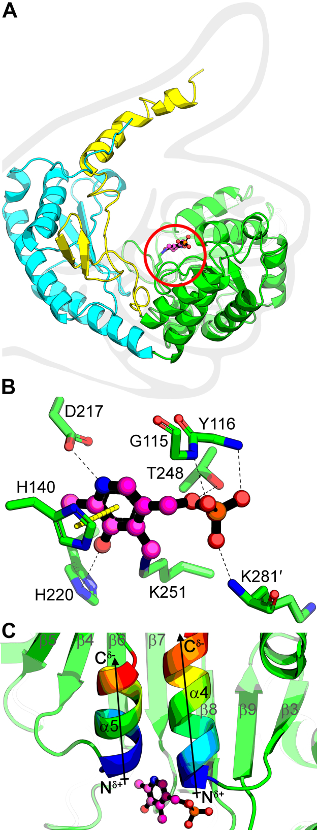 Figure 5