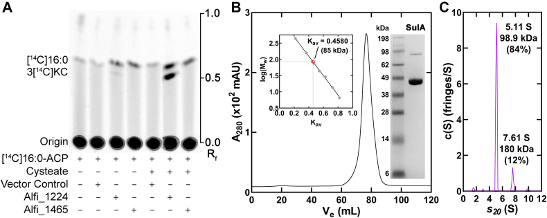 Figure 2