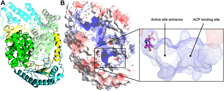 Figure 6