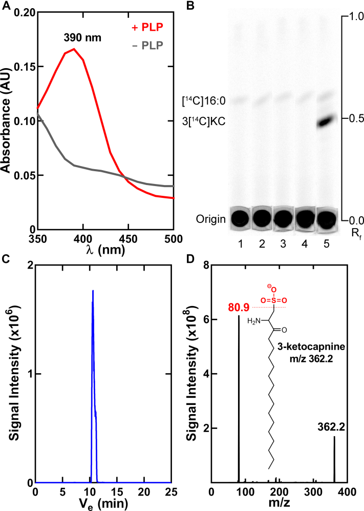 Figure 3